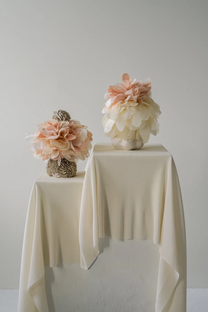 Nemoré VIII - Image 4