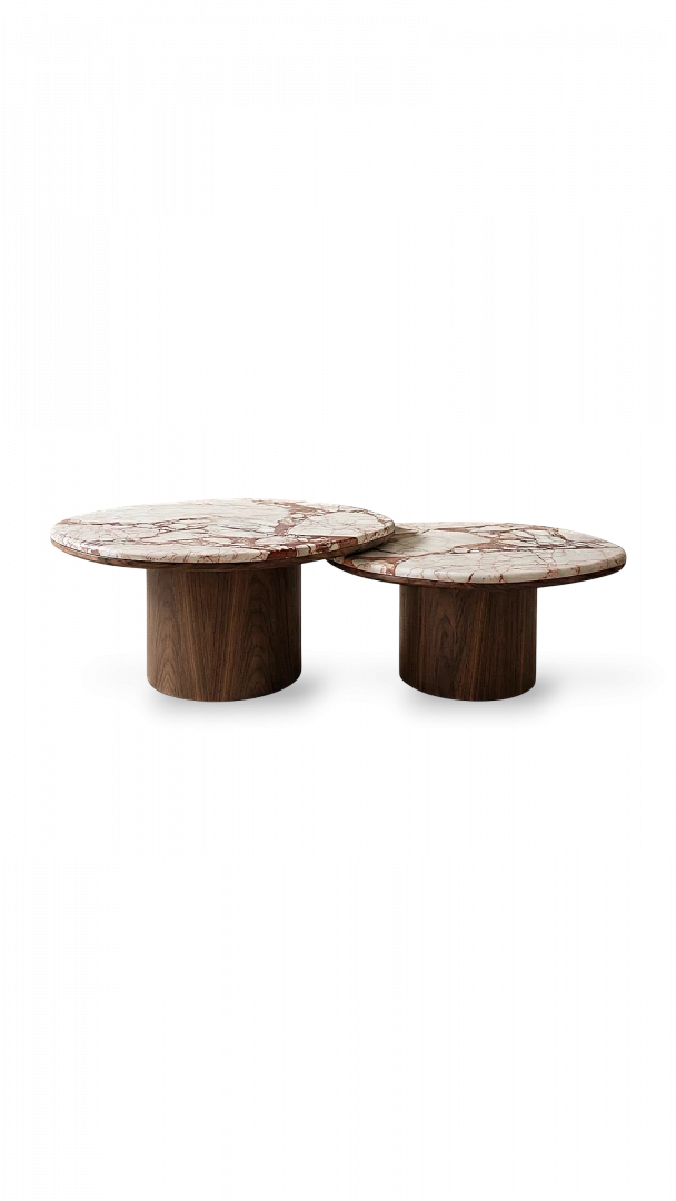 Alexis duo wood coffee table
