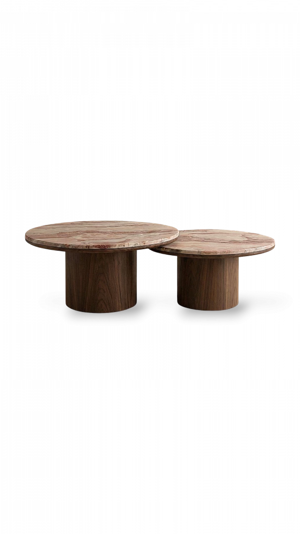Alexis duo wood coffee table