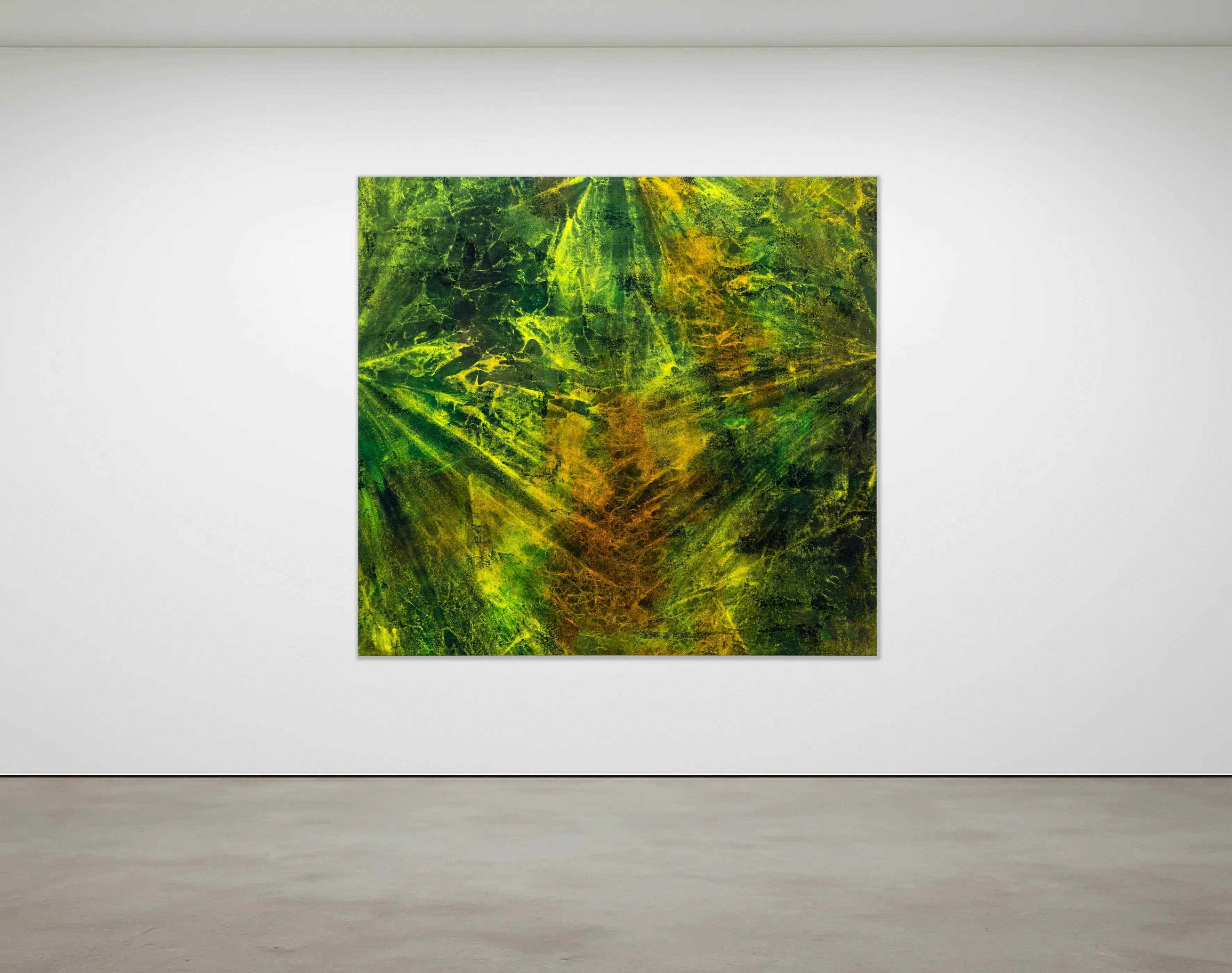 Blazing Like A Sunrise, 2024