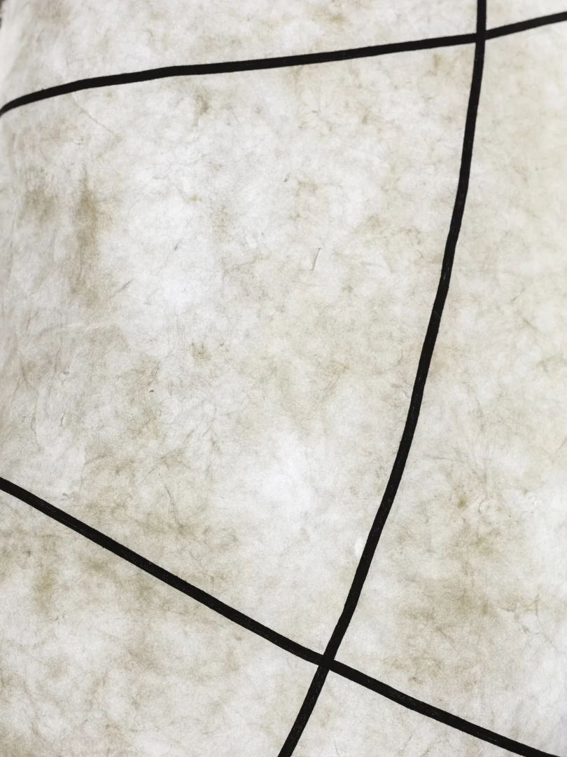 Emergence 1 - Image 4