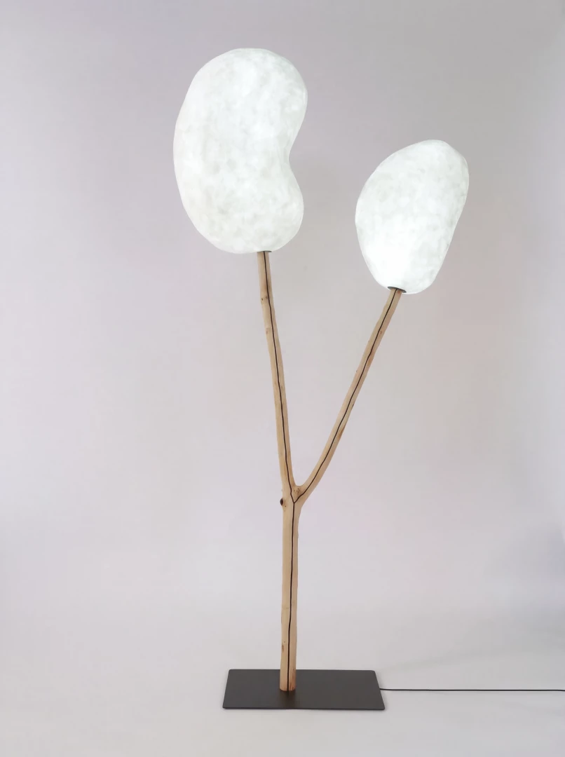 Emergence 2 - Image 4