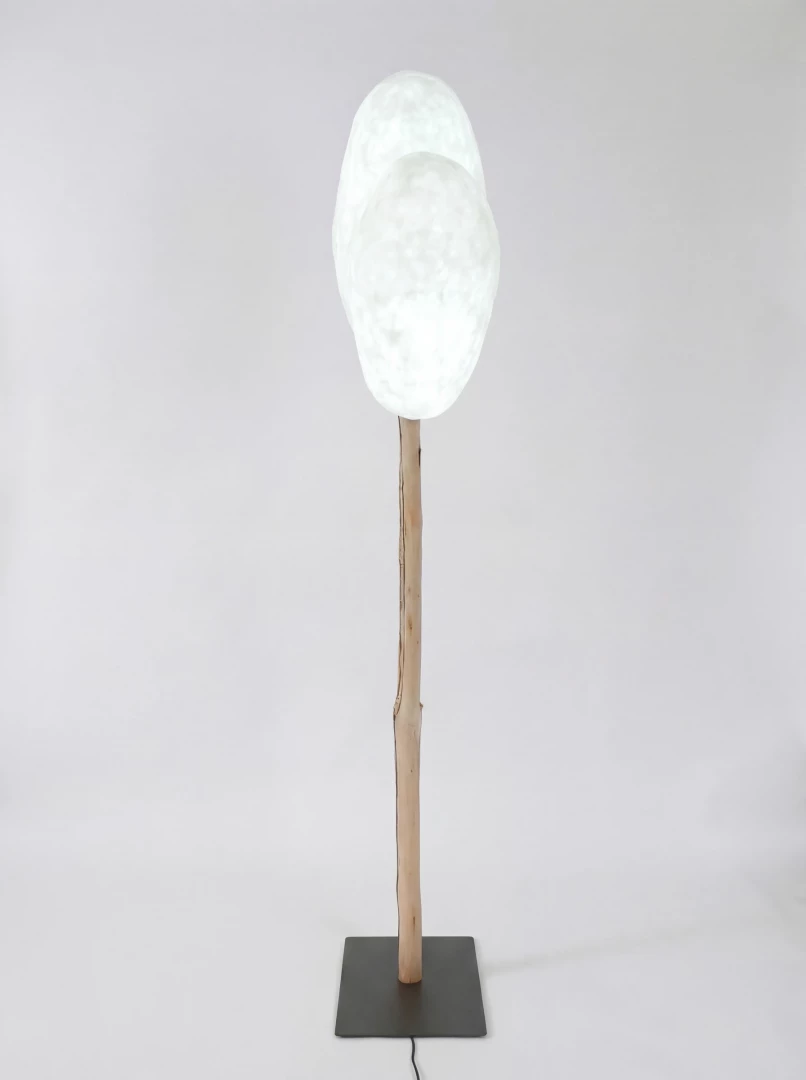 Emergence 2 - Image 5