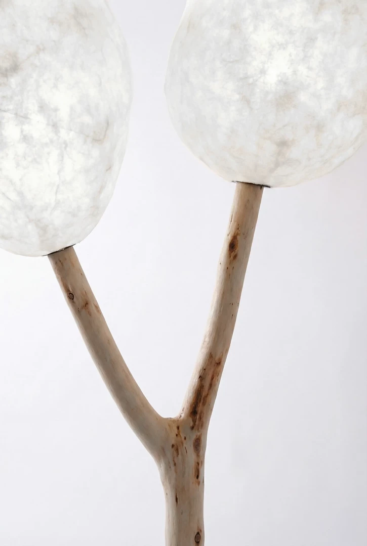 Emergence 2 - Image 6