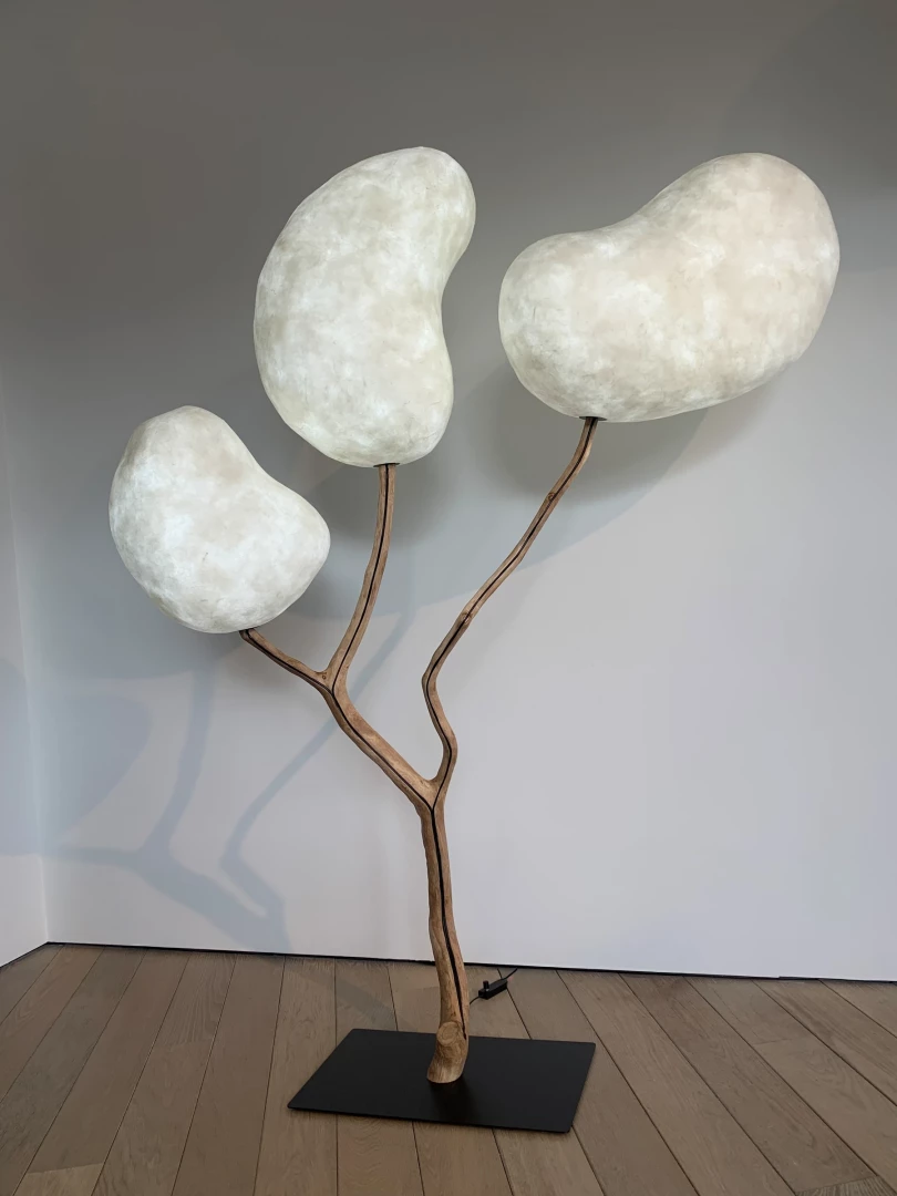 Forêt pleine lune - Image 5