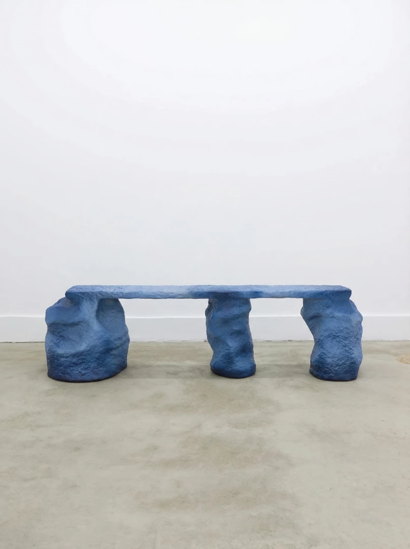 Heliopora Coral - Image 5