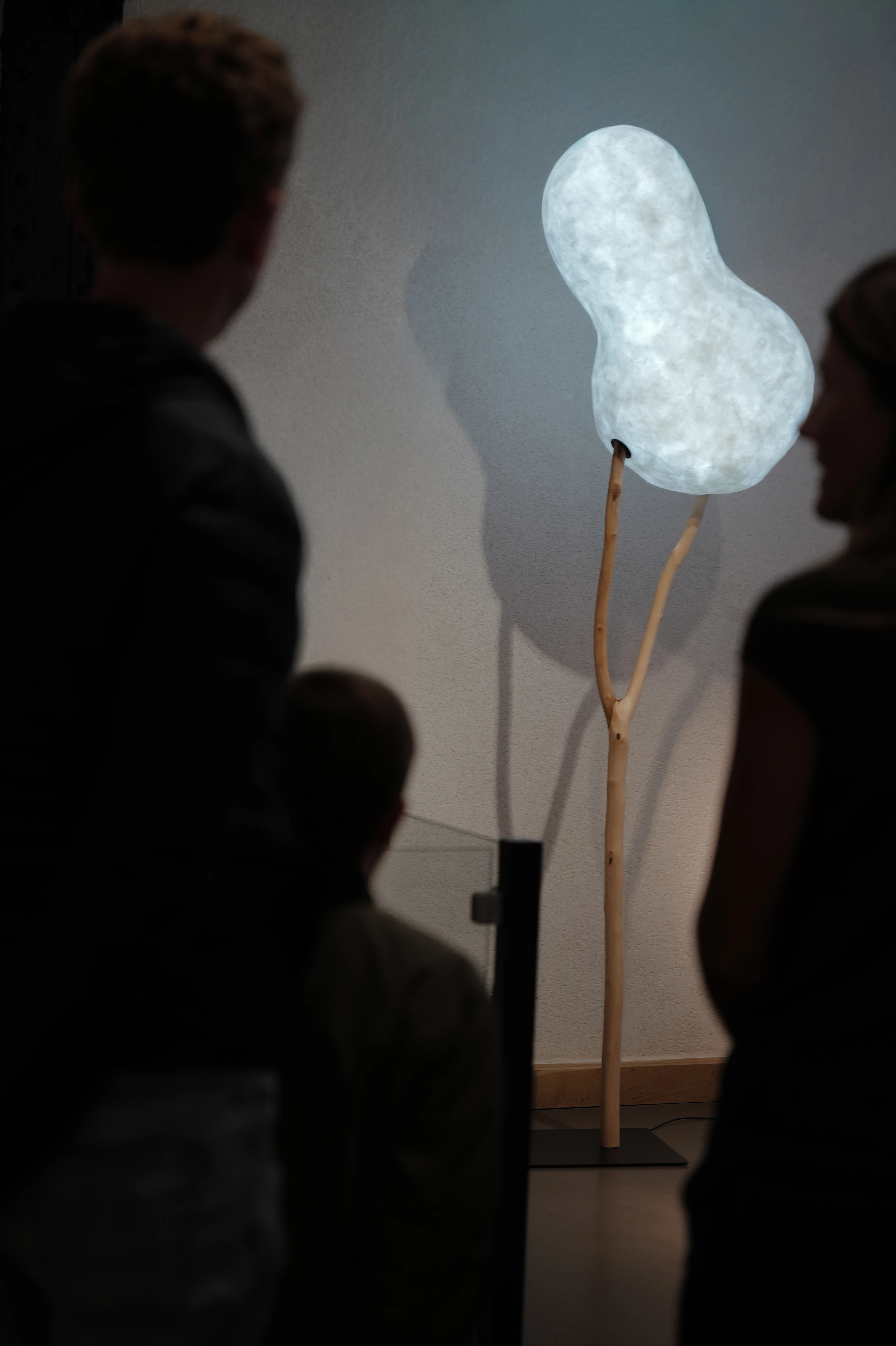 Manguier 1 - Image 4