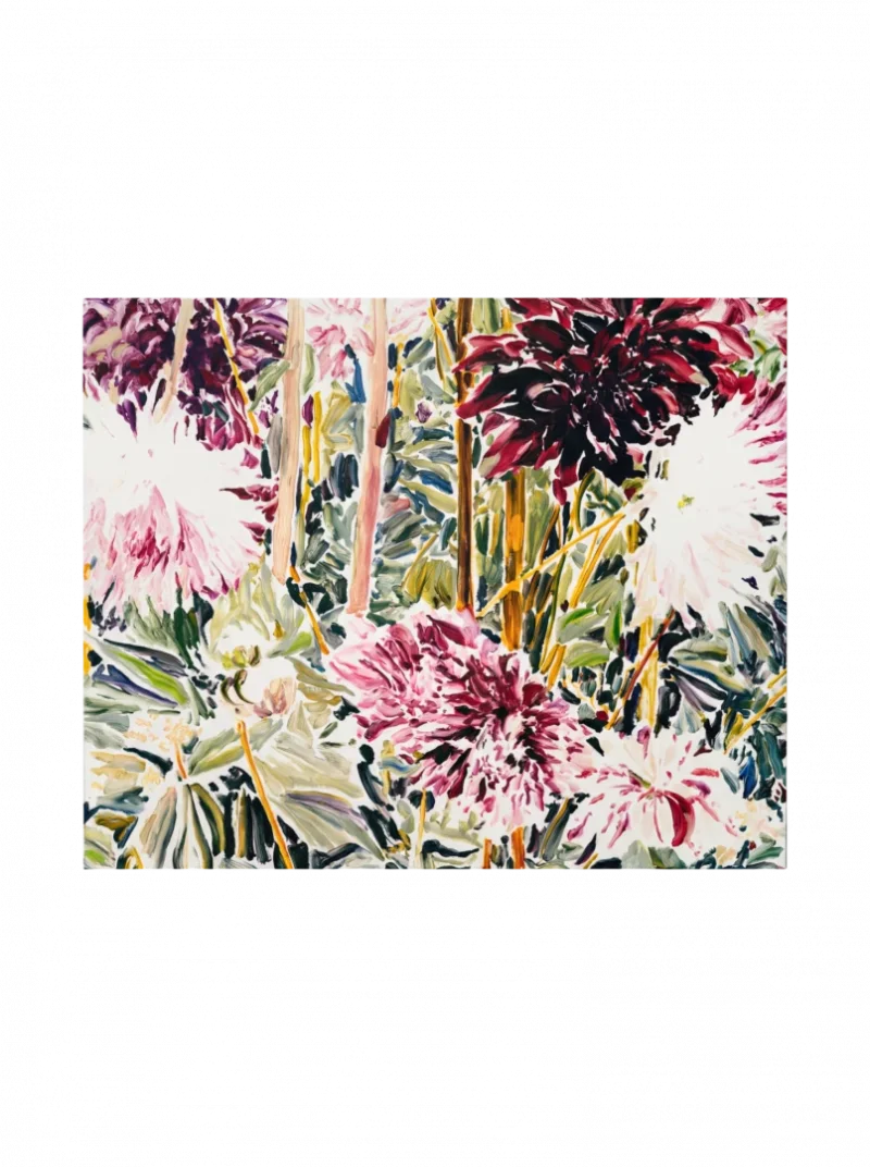 Sept Dahlias Roses Et Rouges