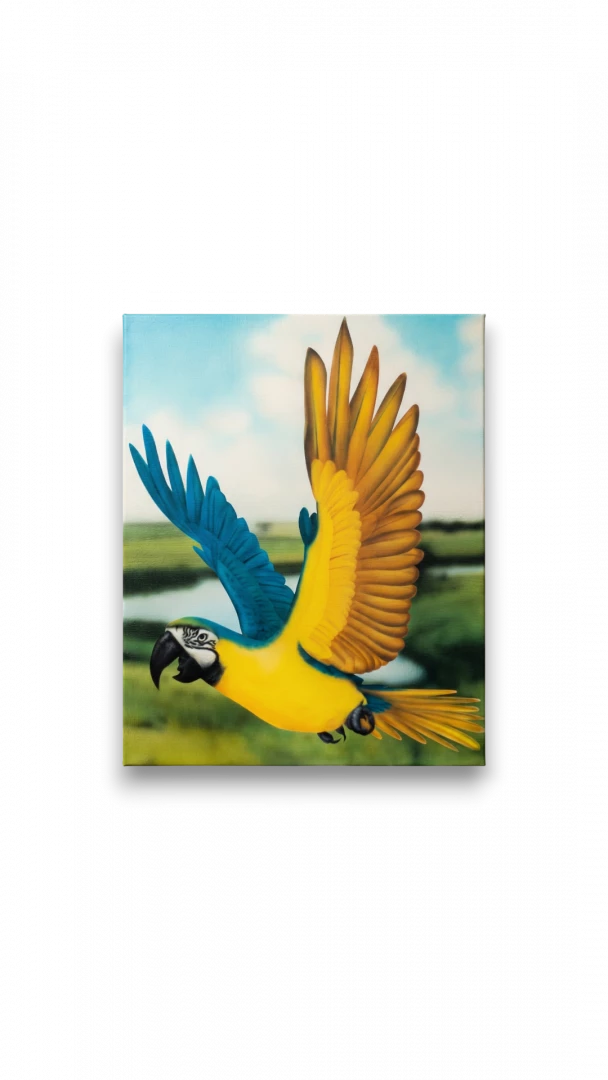 Parrot-2