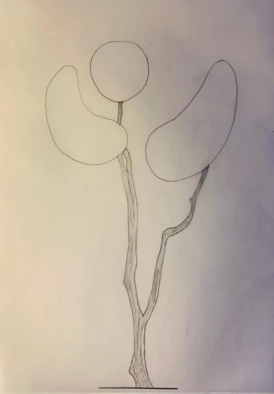 The illuminated - Image 6