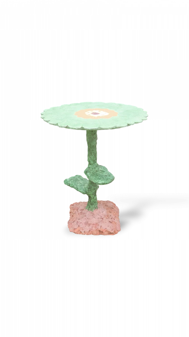 Tiny Flowered Paphiopedilum