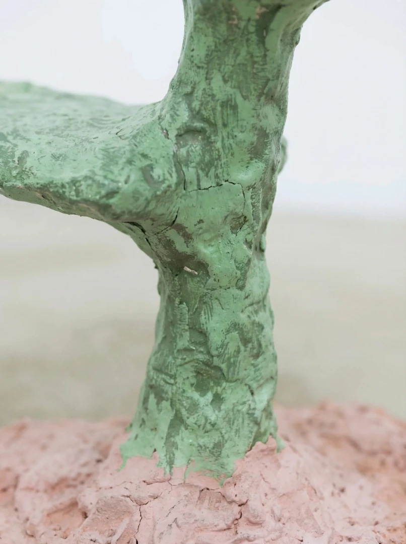 Tiny Flowered Paphiopedilum