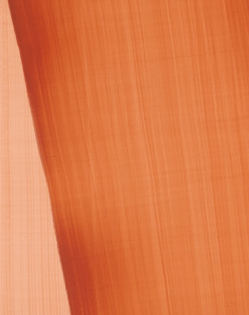 Two Brown Fan Shaped Lines 3