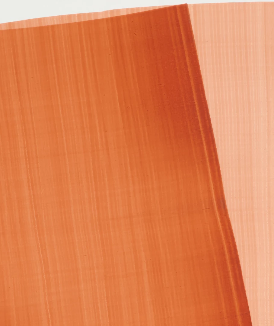 Two Brown Fan Shaped Lines 3 - Image 4